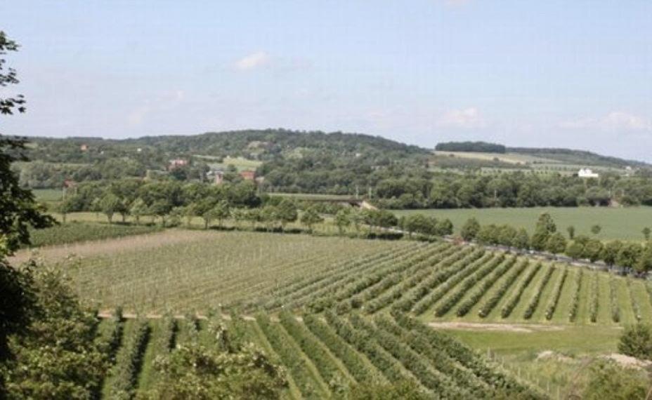 Ferienwohnung Zum Saaletalblick Naumburg  Buitenkant foto