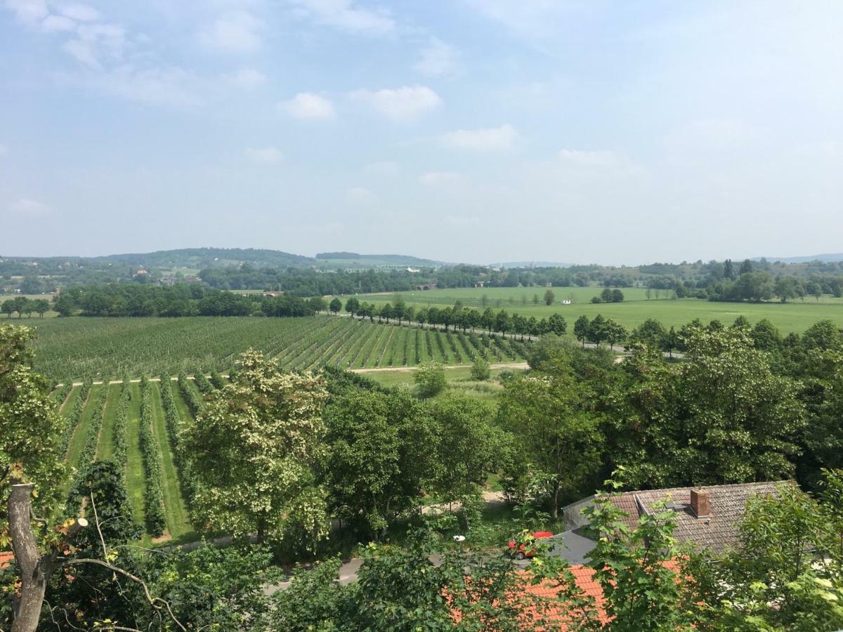 Ferienwohnung Zum Saaletalblick Naumburg  Buitenkant foto