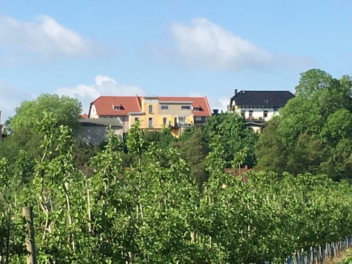 Ferienwohnung Zum Saaletalblick Naumburg  Buitenkant foto